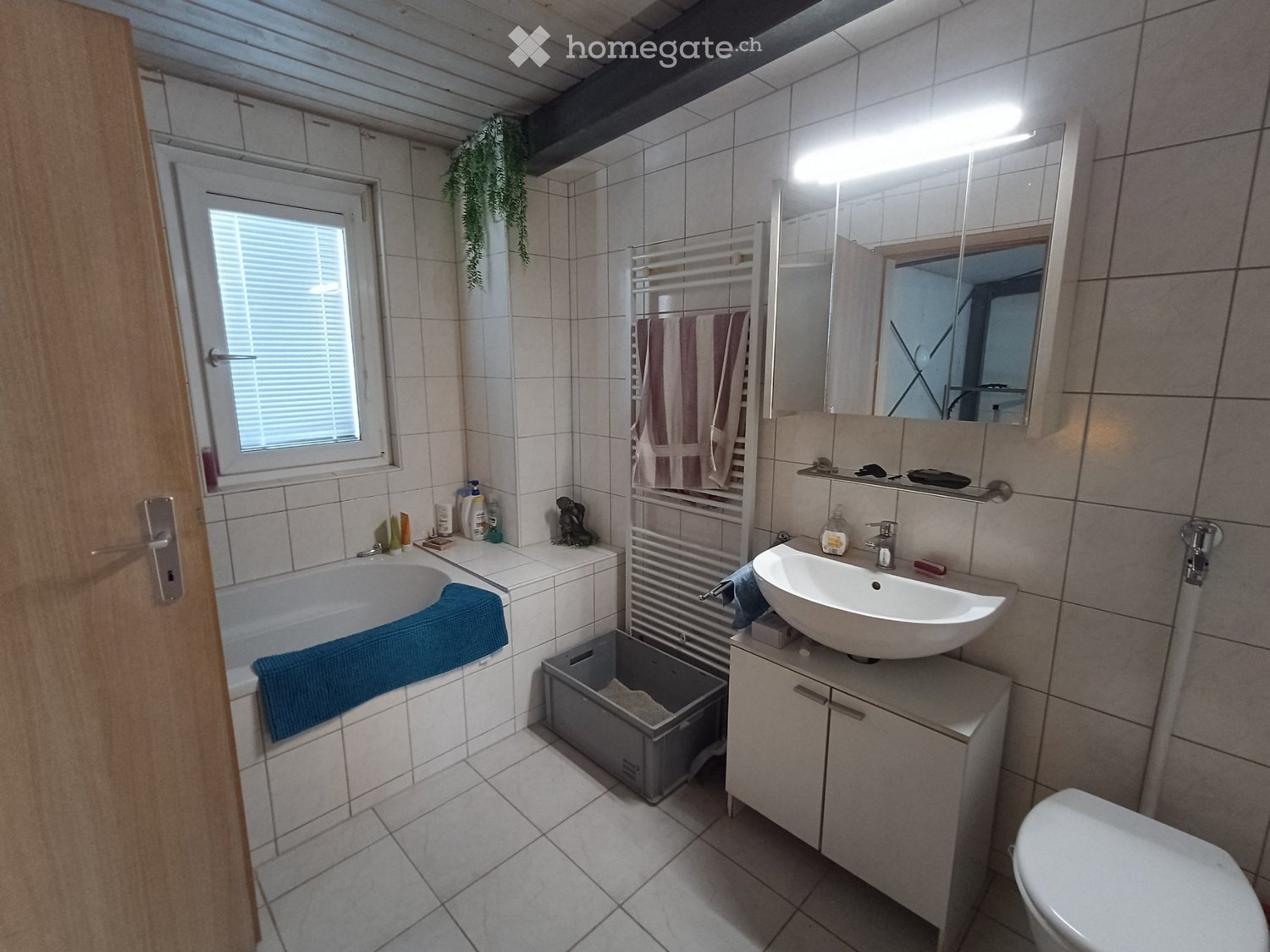 1 room single room