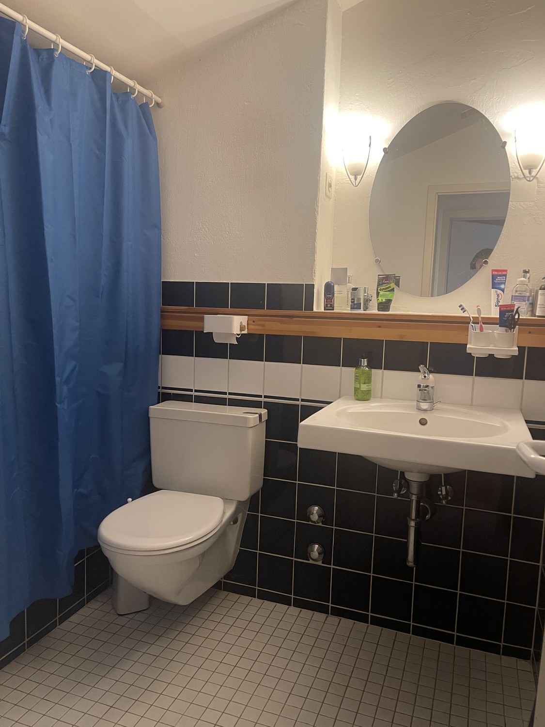 3 ½ Zimmer-Wohnung