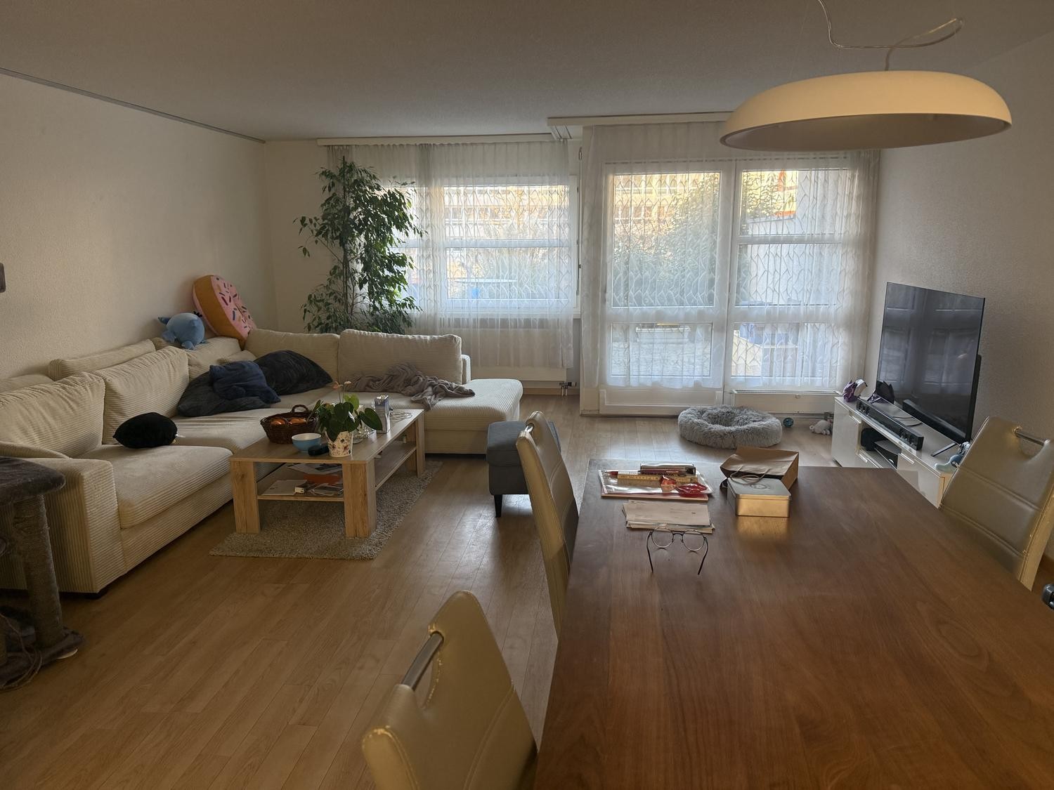 Room in a shared flat