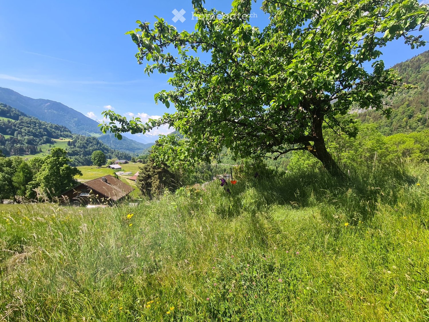 Appartamento di 2 locali