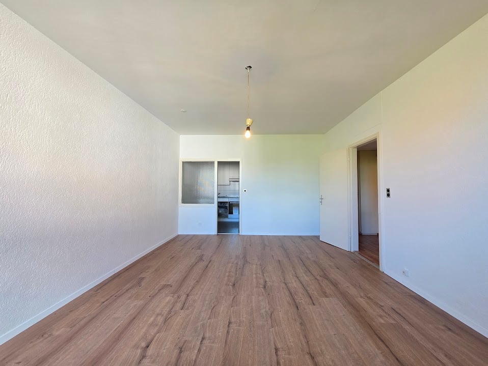 Appartement 1 pièce