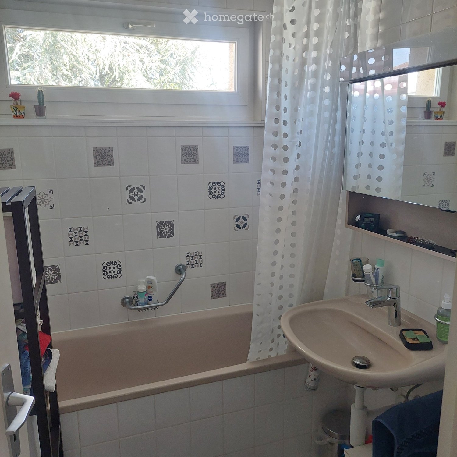 2 ½ Zimmer-Wohnung