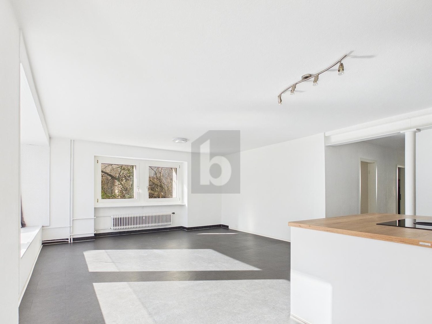 Appartement de 3 ½ pièces