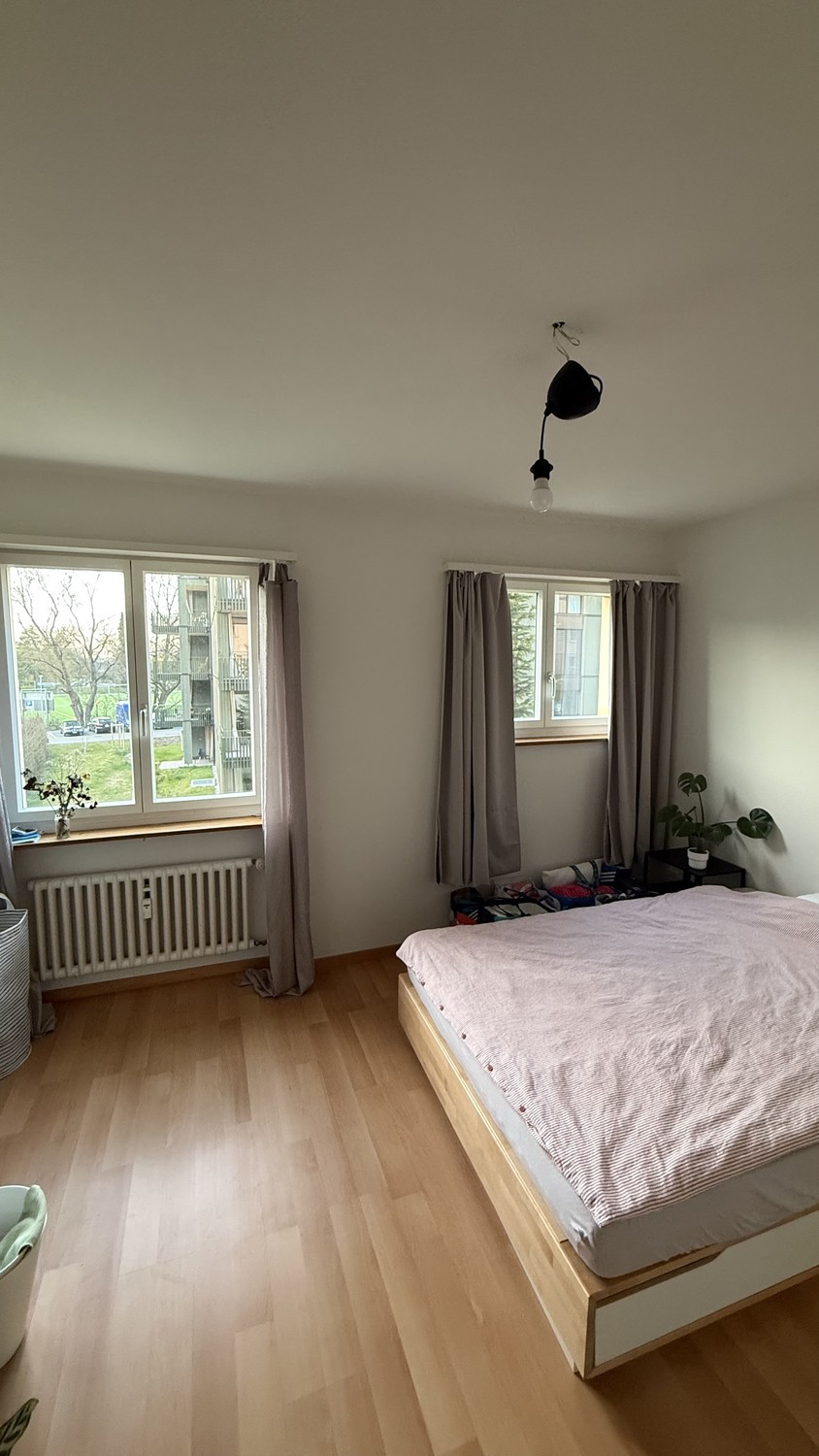 Room in a shared flat
