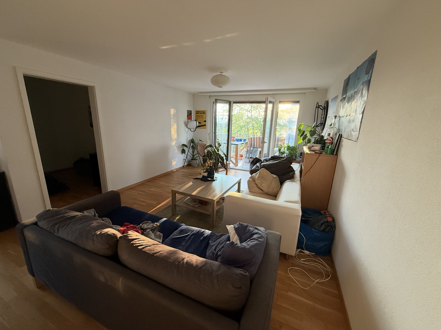 Room in a shared flat
