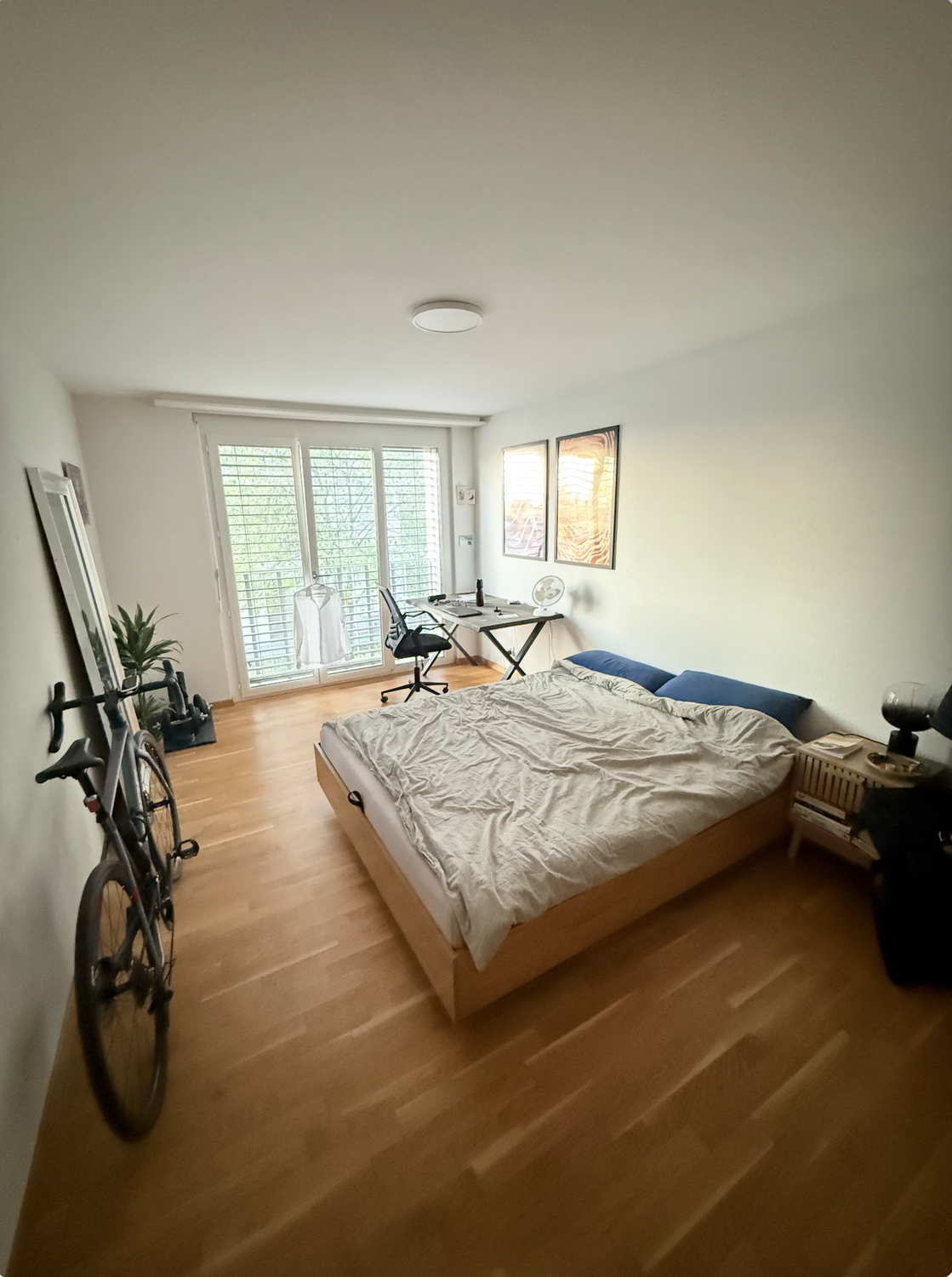 Room in a shared flat