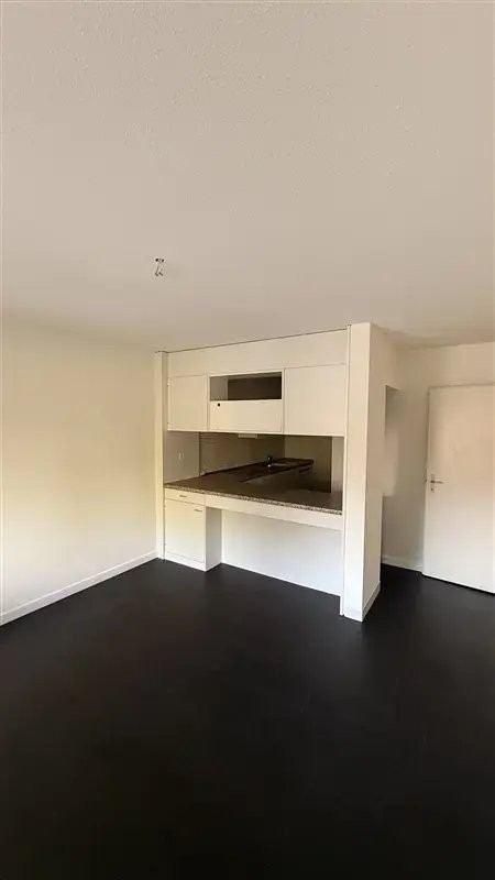 Duplex di 3 ½ locali