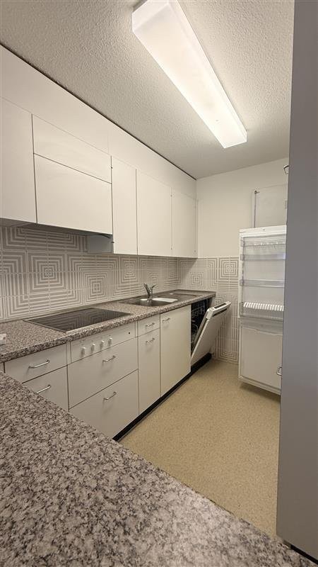 Duplex di 3 ½ locali