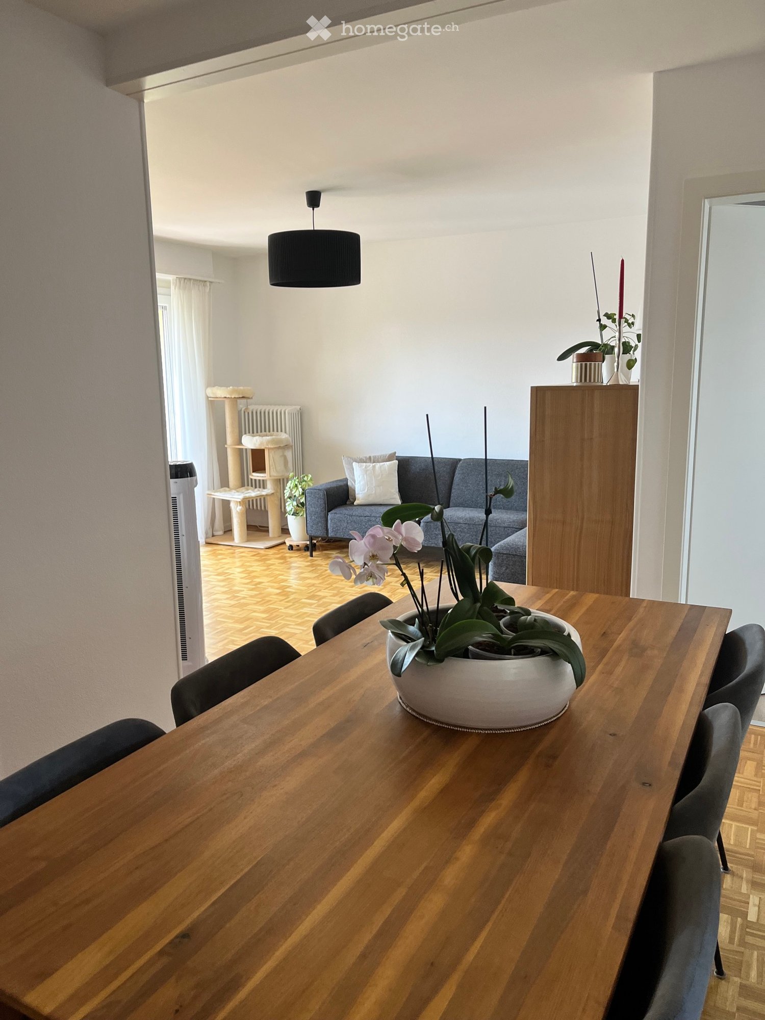 appartamento di 3 locali
