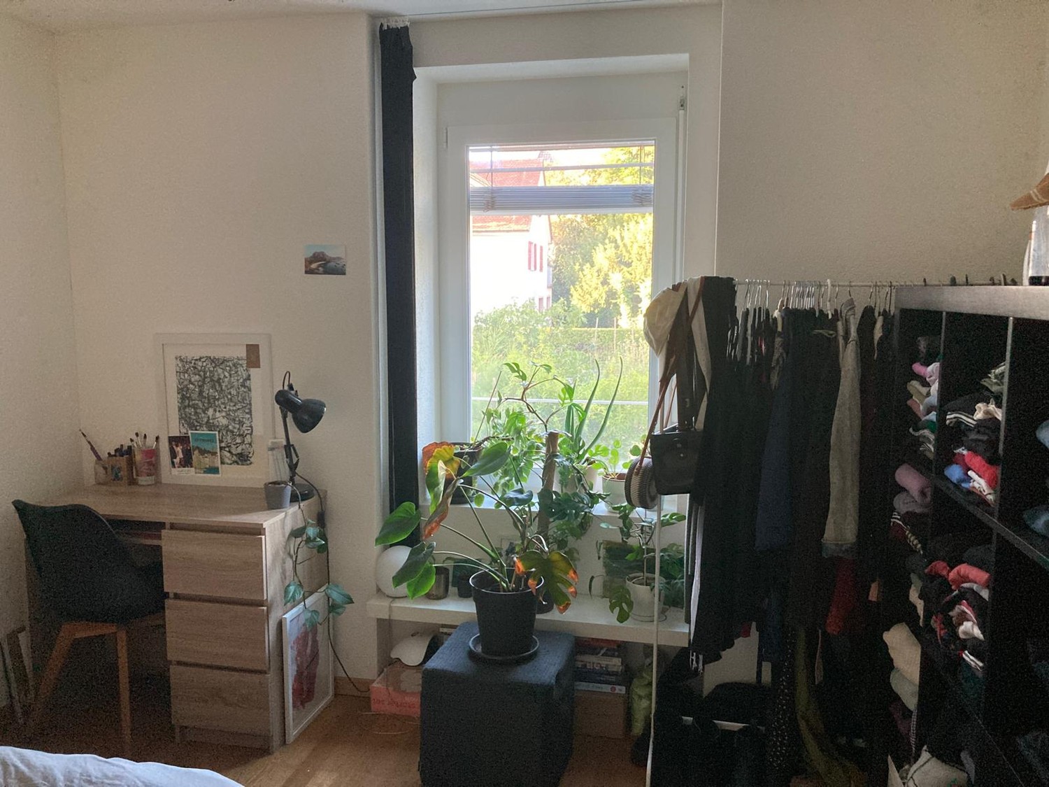 Room in a shared flat