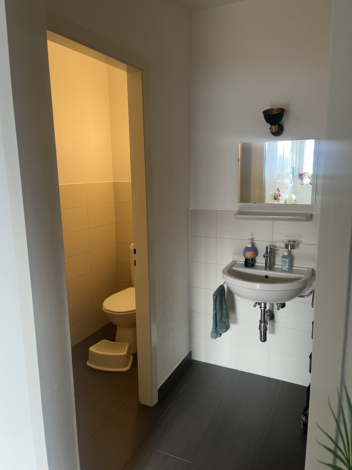5 ½ rooms apartment