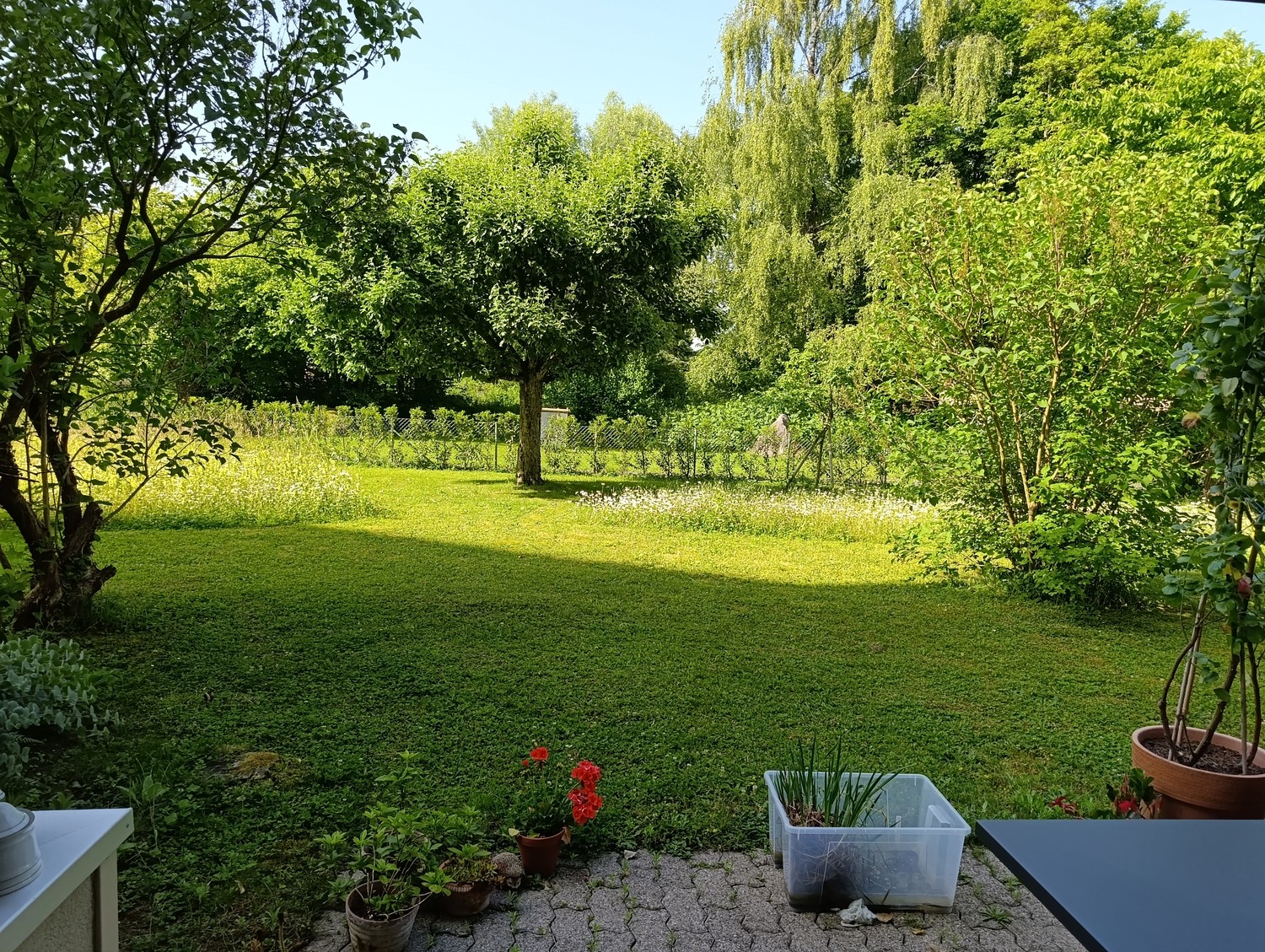 Appartement de 2 ½ pièces
