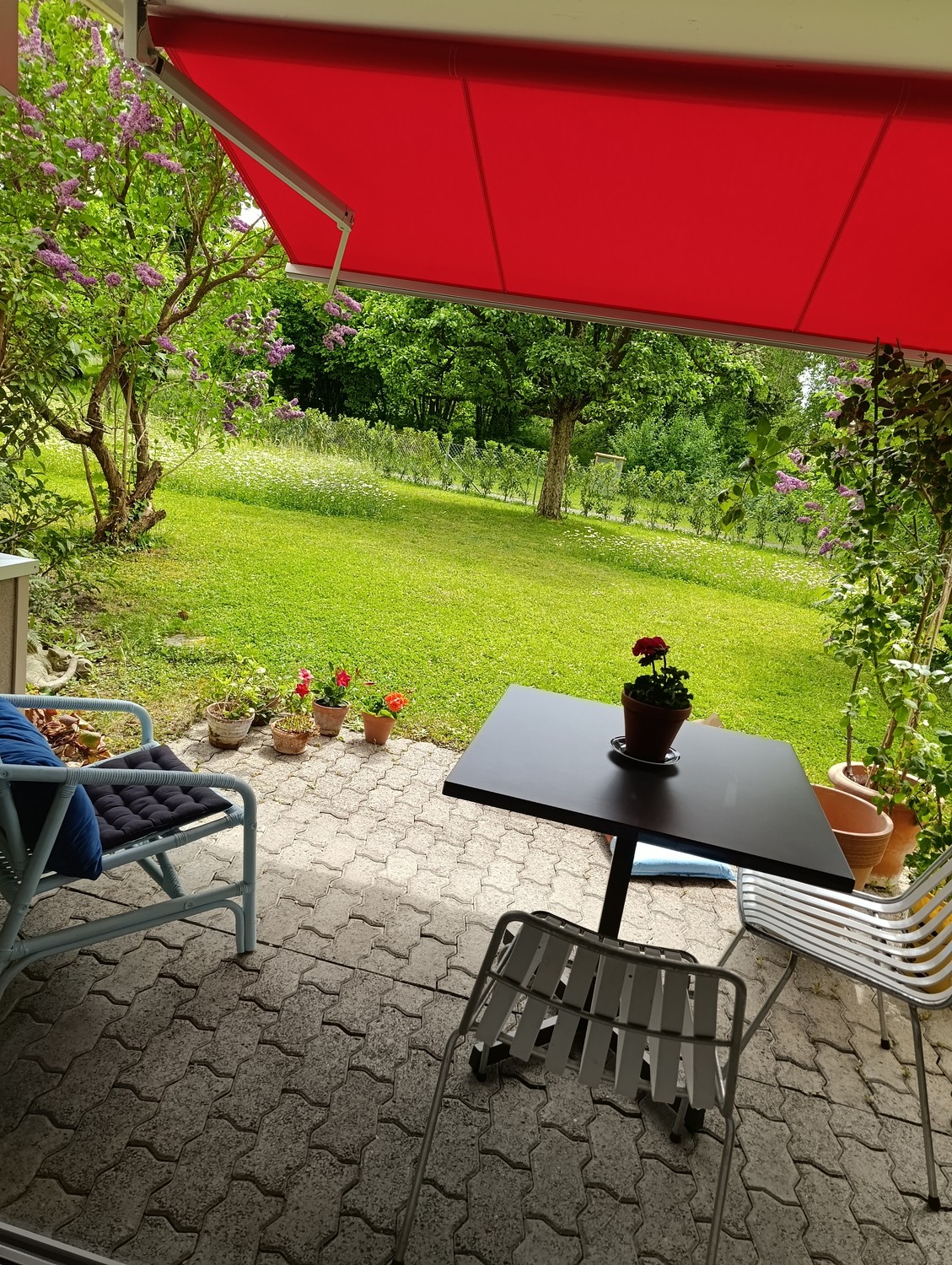 Appartement de 2 ½ pièces
