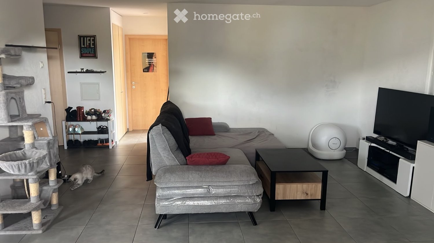 1 room single room