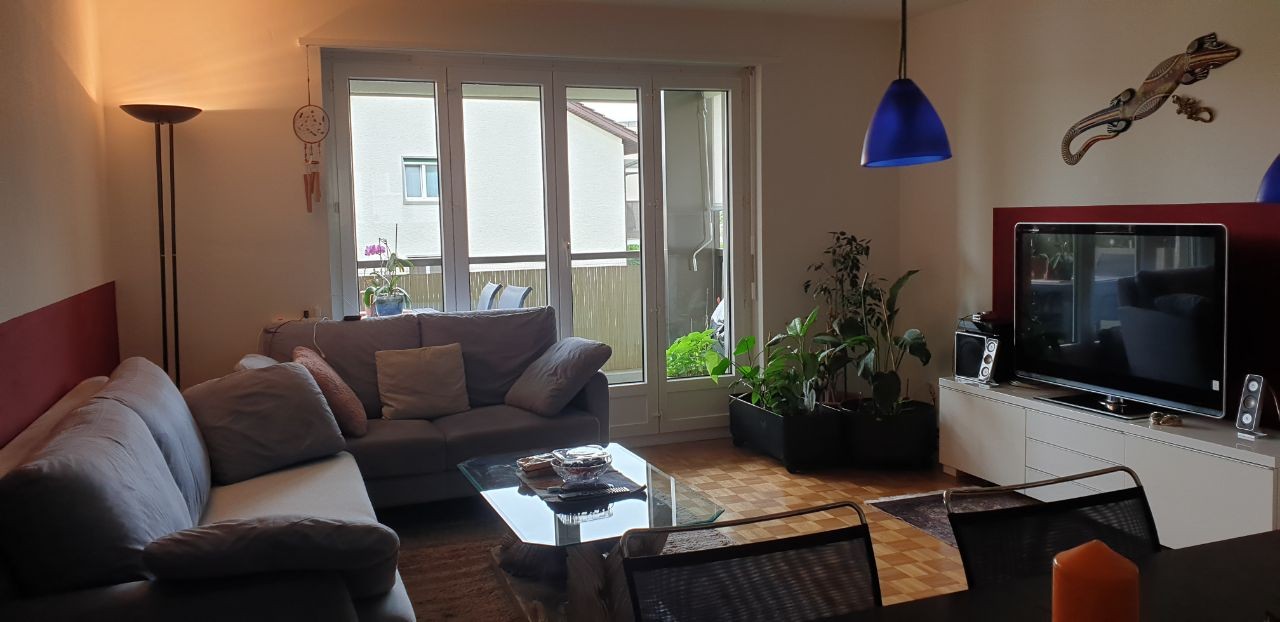 Appartamento di 3 ½ locali