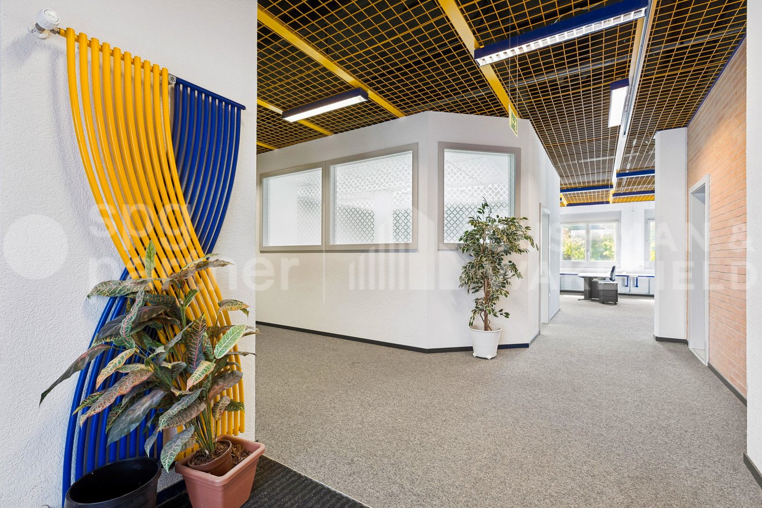 1024m² commerciale