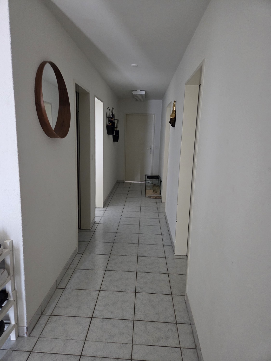 5 ½ rooms apartment