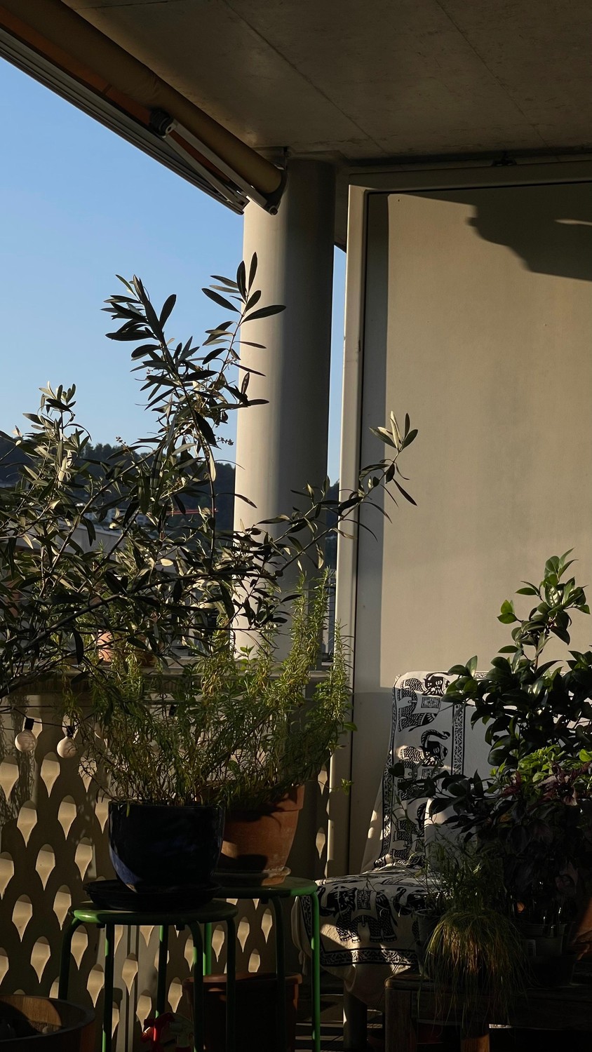 Camera in un appartamento condiviso
