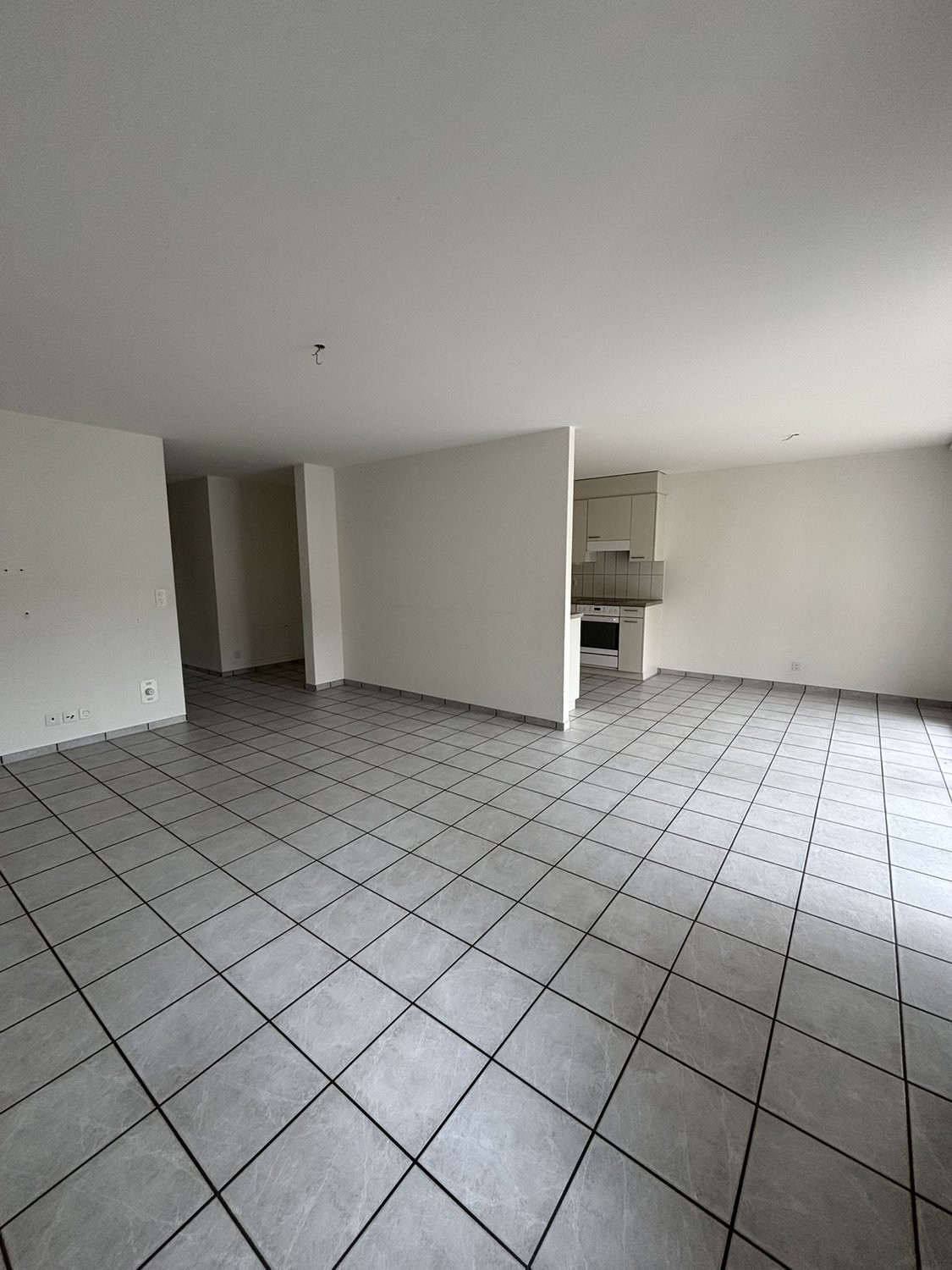 4 ½ rooms apartment
