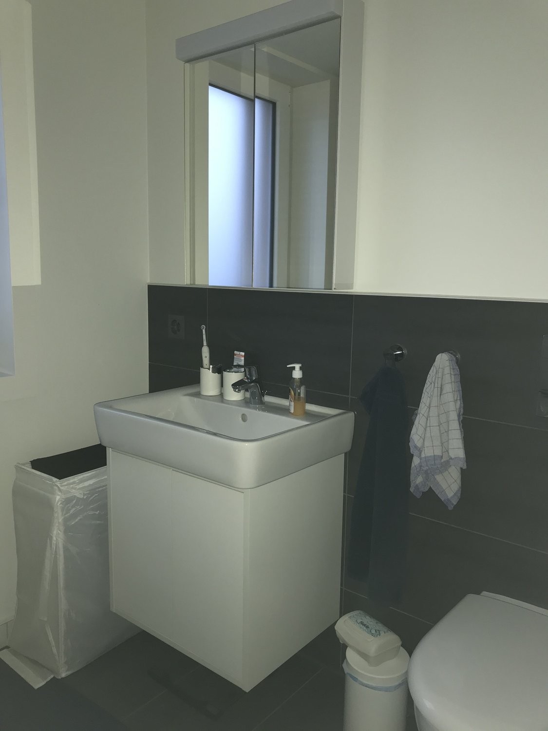 Appartamento arredato di 3 ½ locali