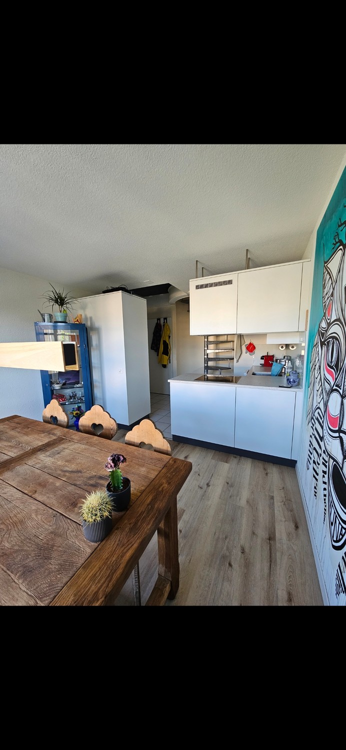 Appartamento di 3 ½ locali