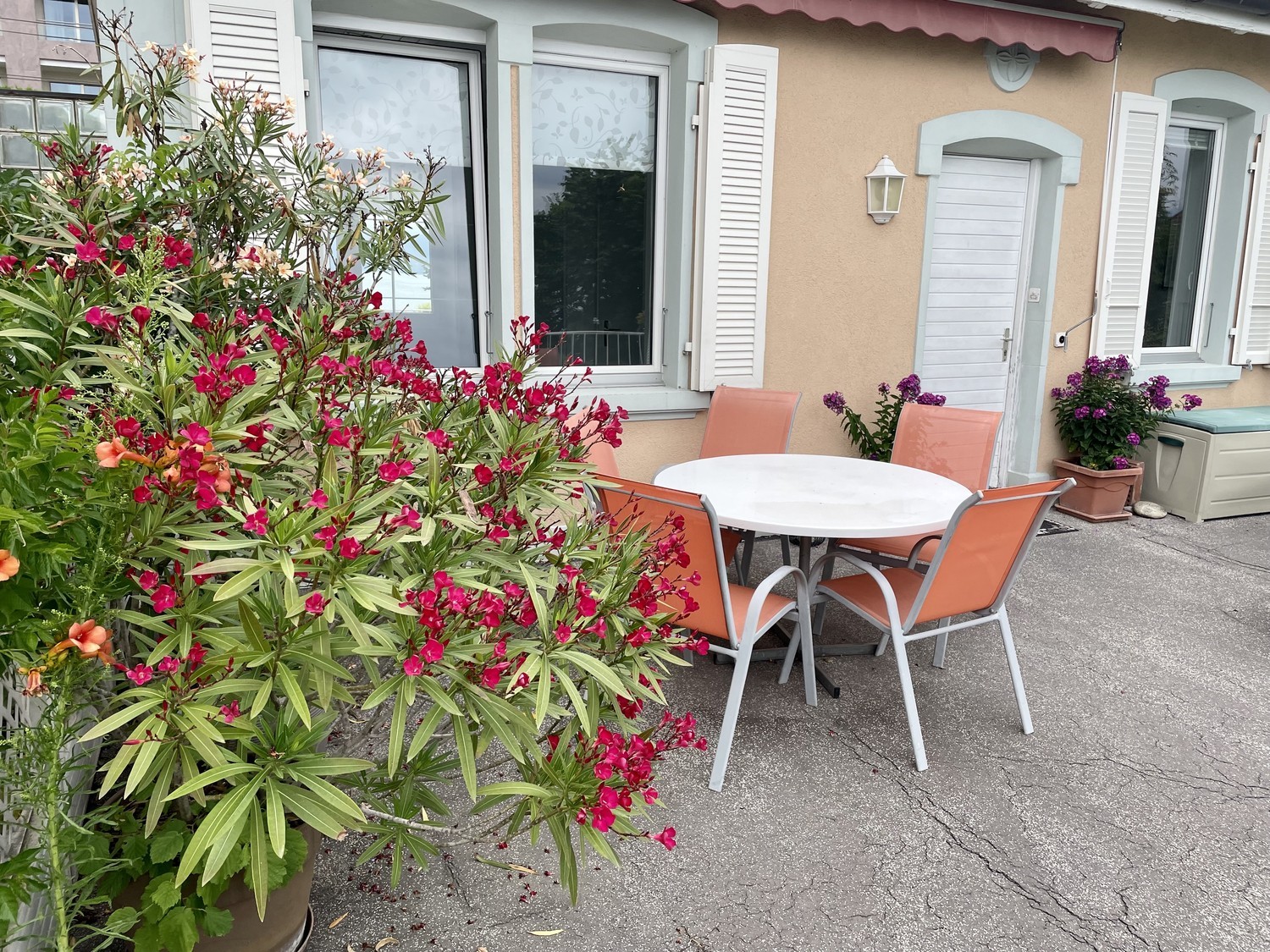 2 Zimmer Einfamilienhaus