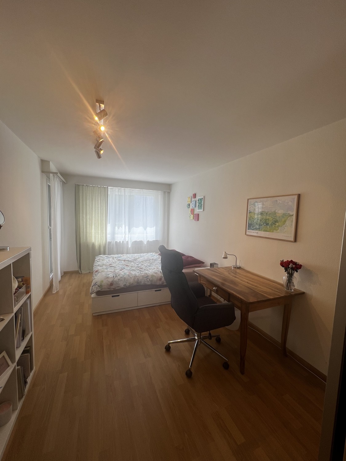 Room in a shared flat