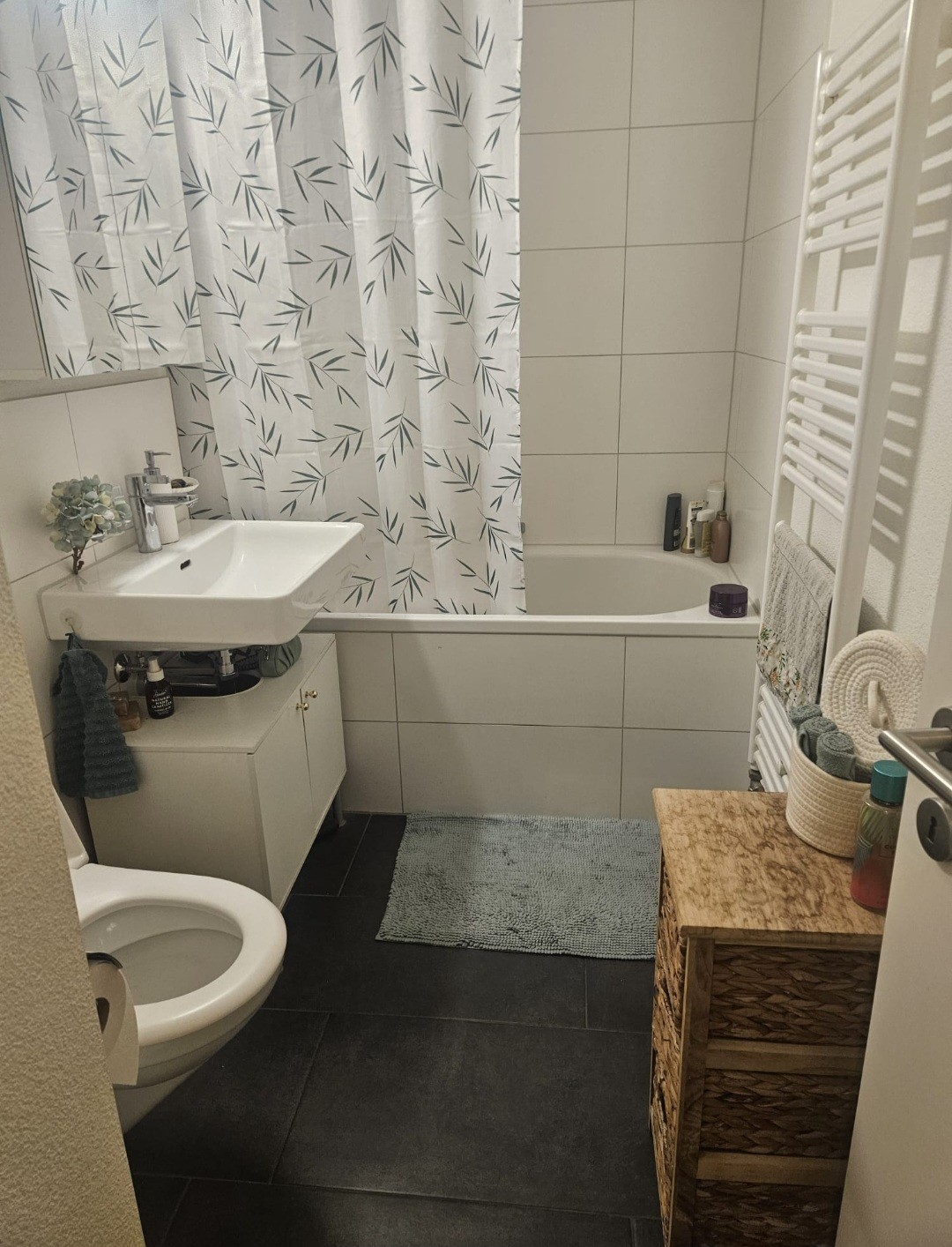 Appartement 3 ½ pièces