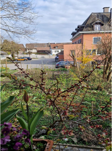 Casa singola con 5 locali