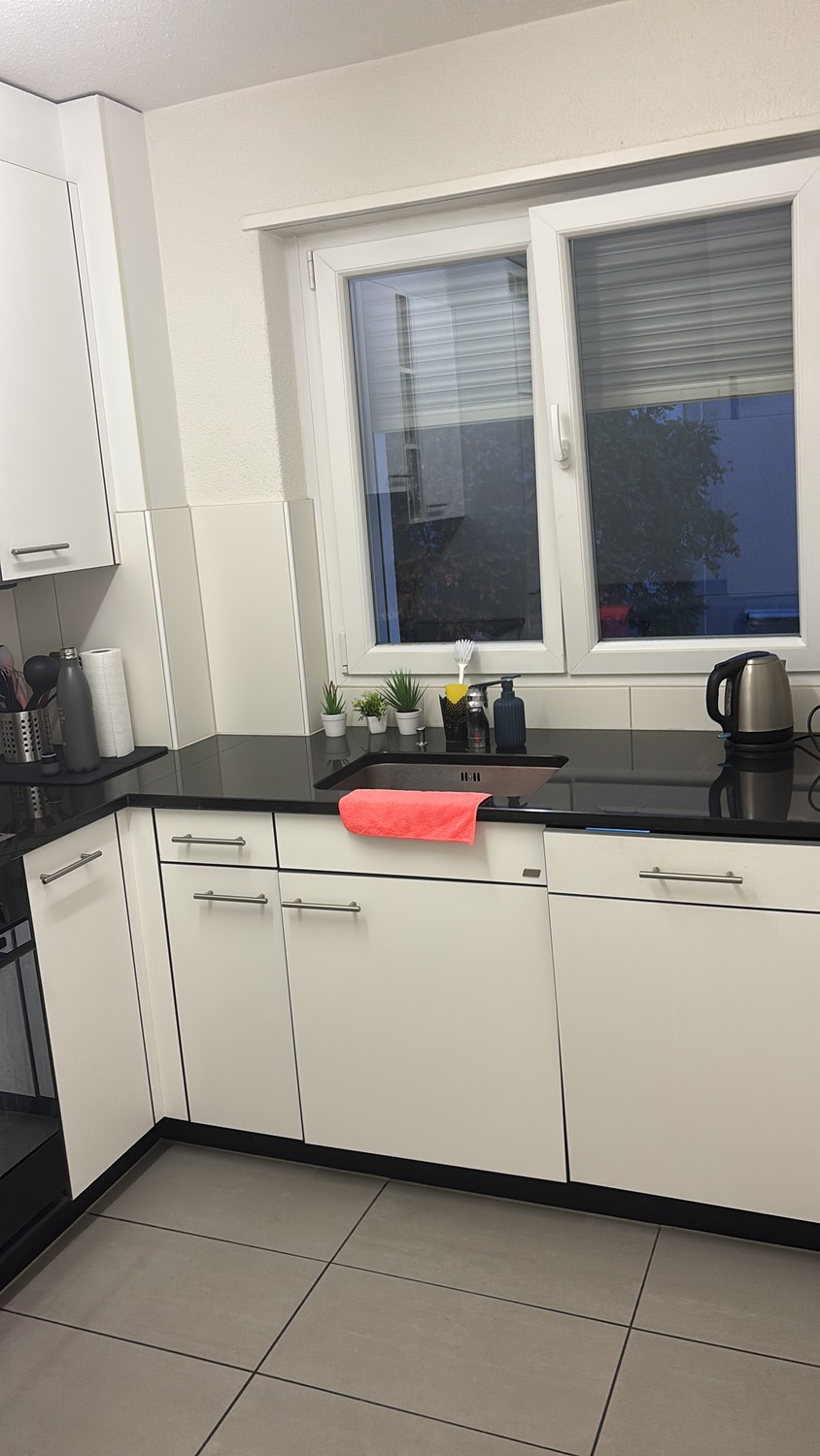 Appartamento di 3 ½ locali