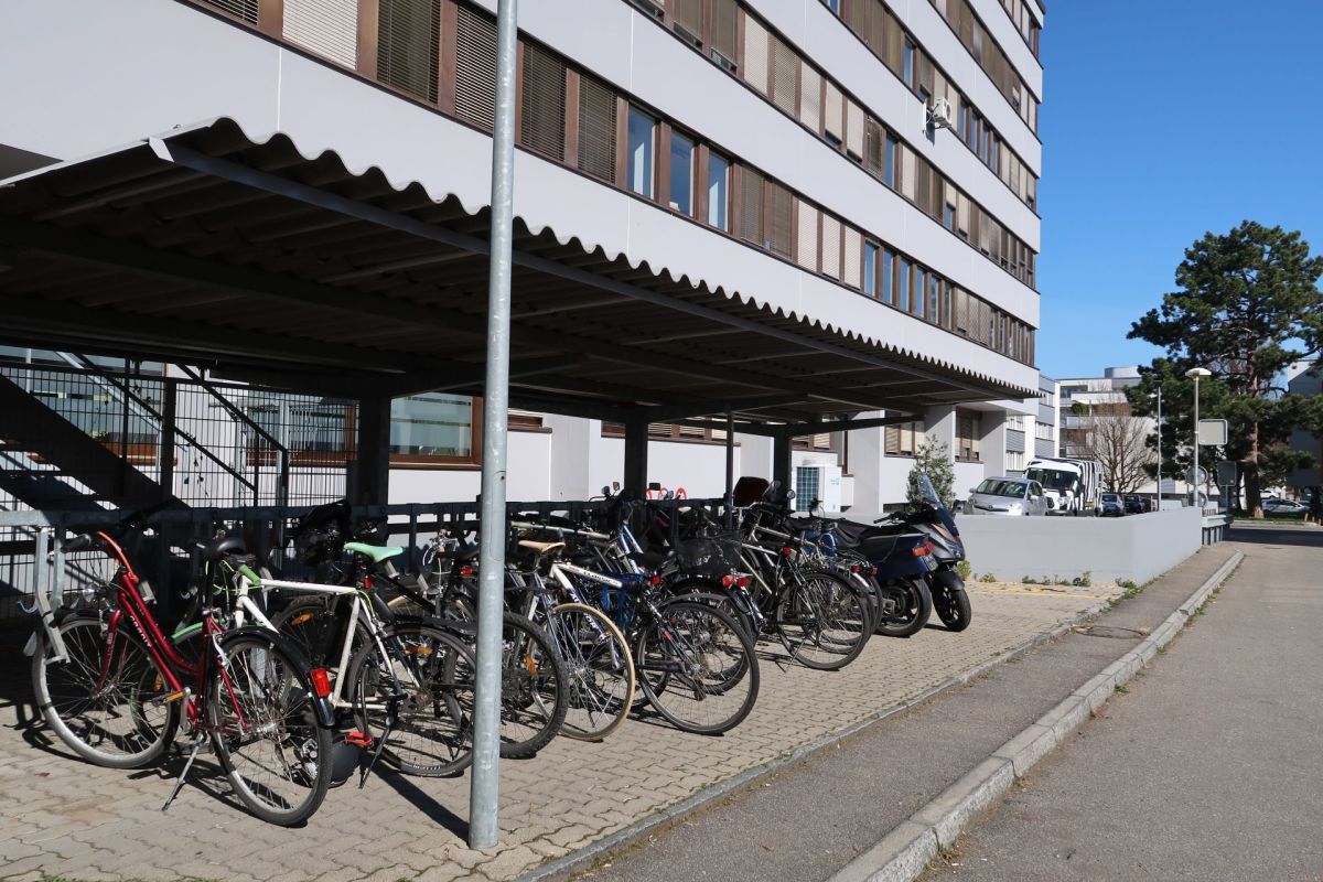 81m² office