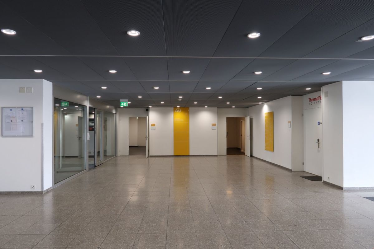 81m² office