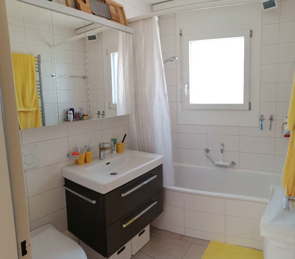 appartamento di 3 ½ locali
