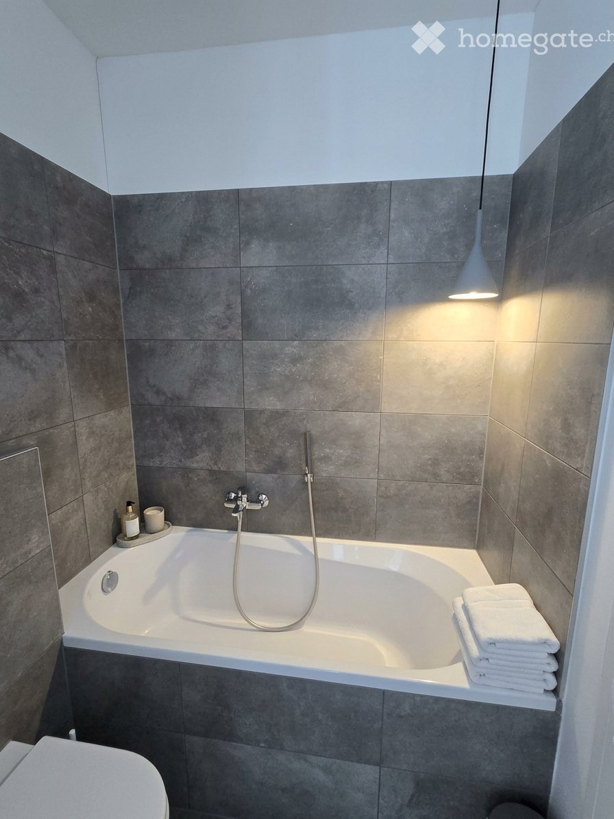 3 ½ Zimmer Wohnung