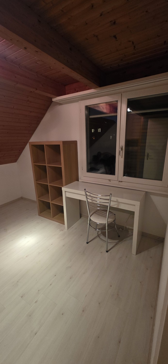 Room in a shared flat