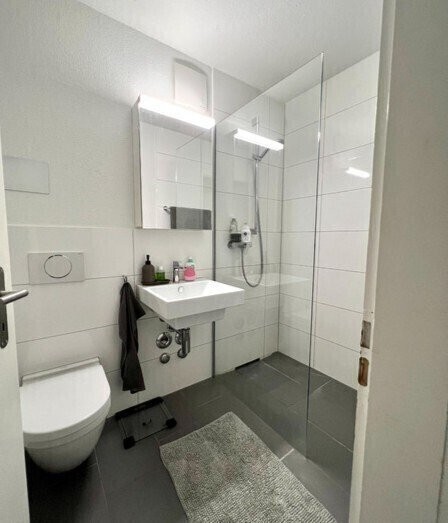 Appartement 1 ½ pièces