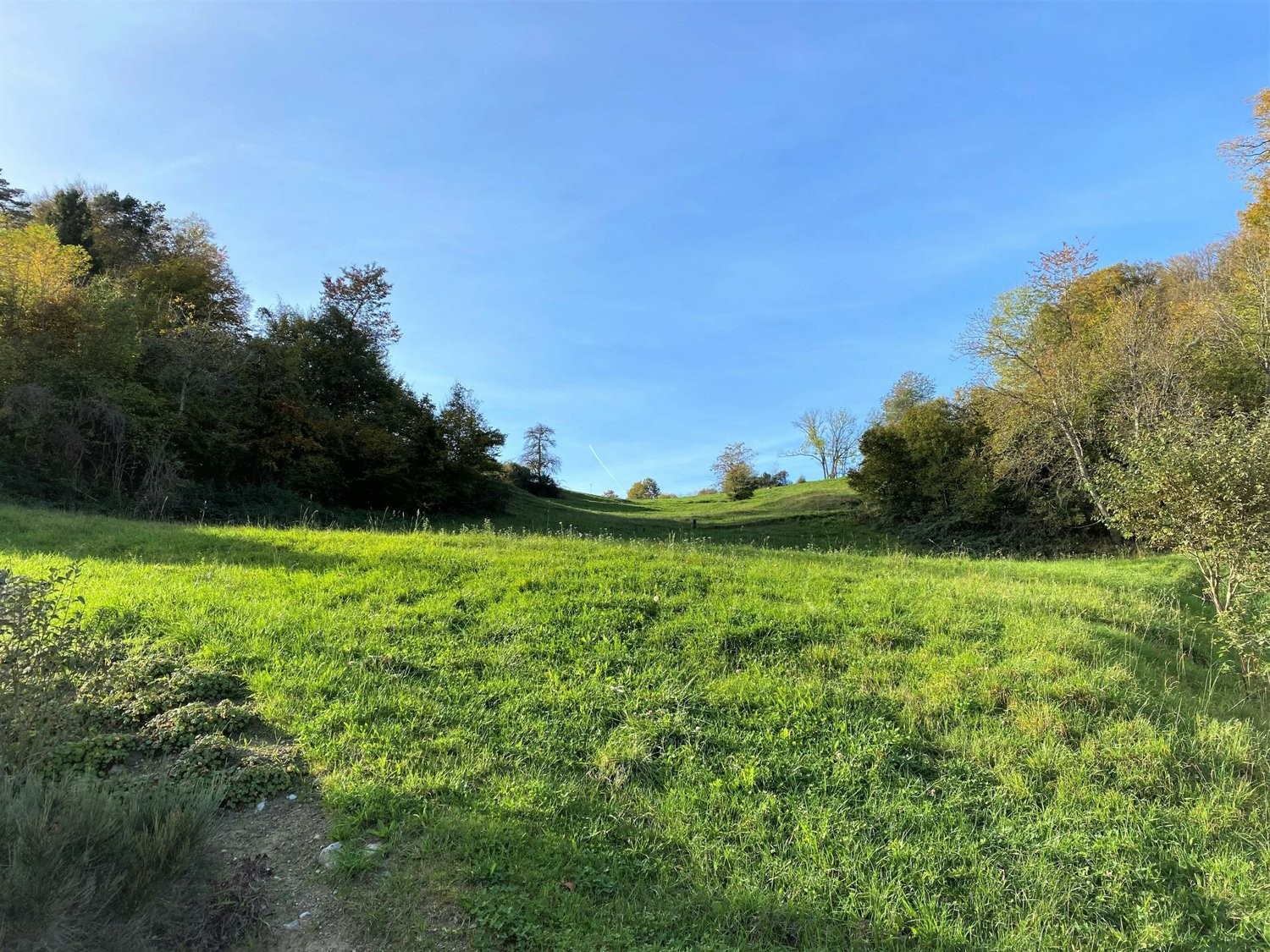 1958m² building land