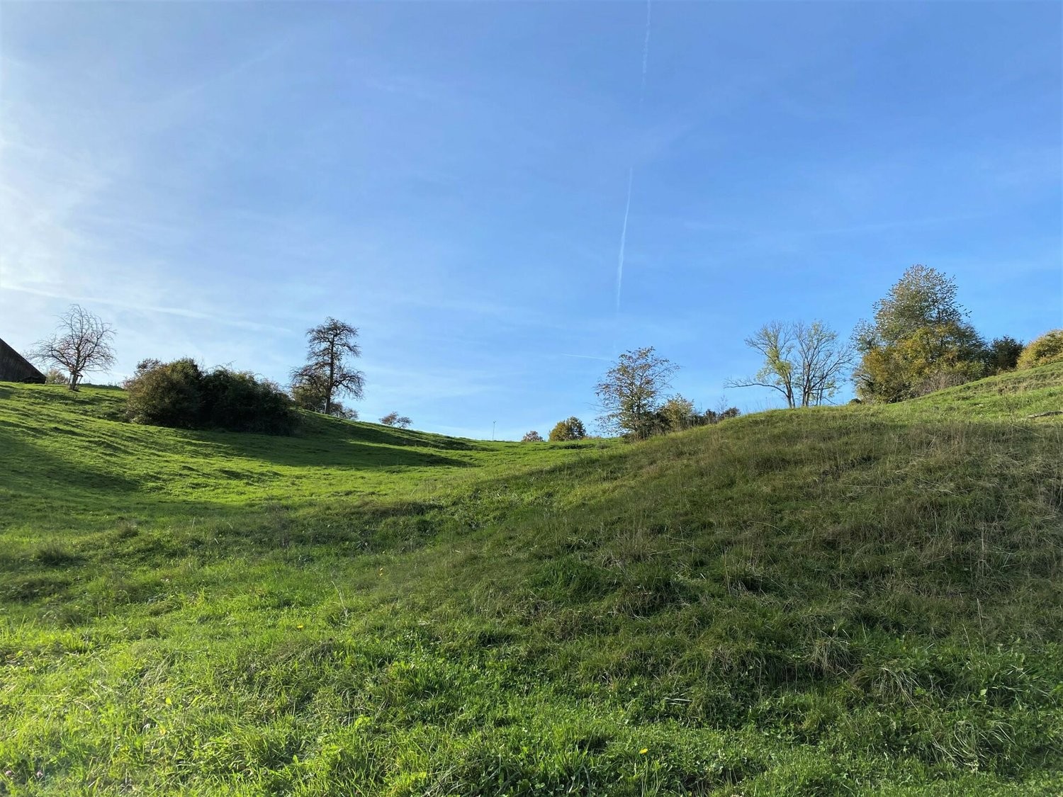 1958m² building land