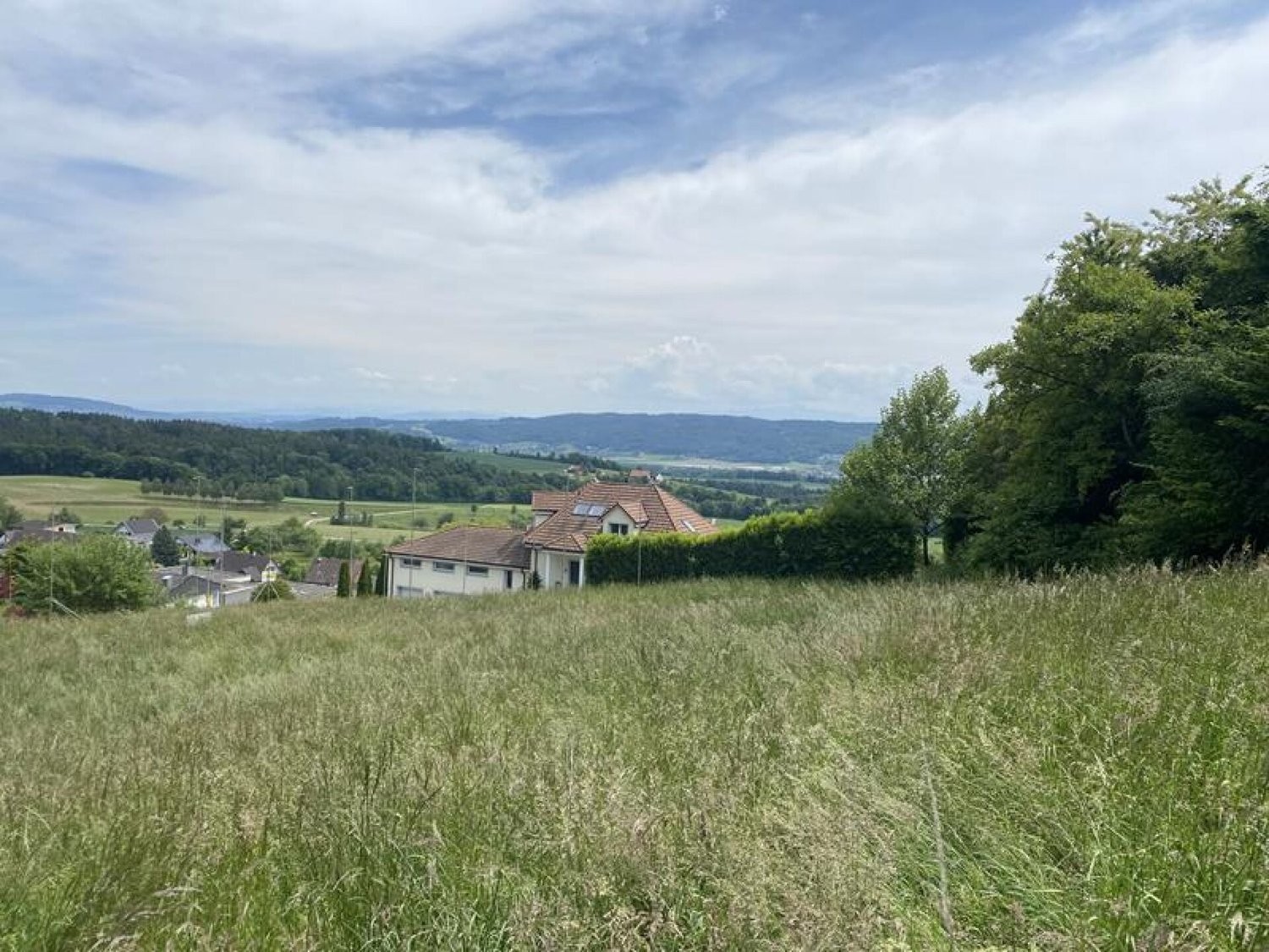 1958m² building land