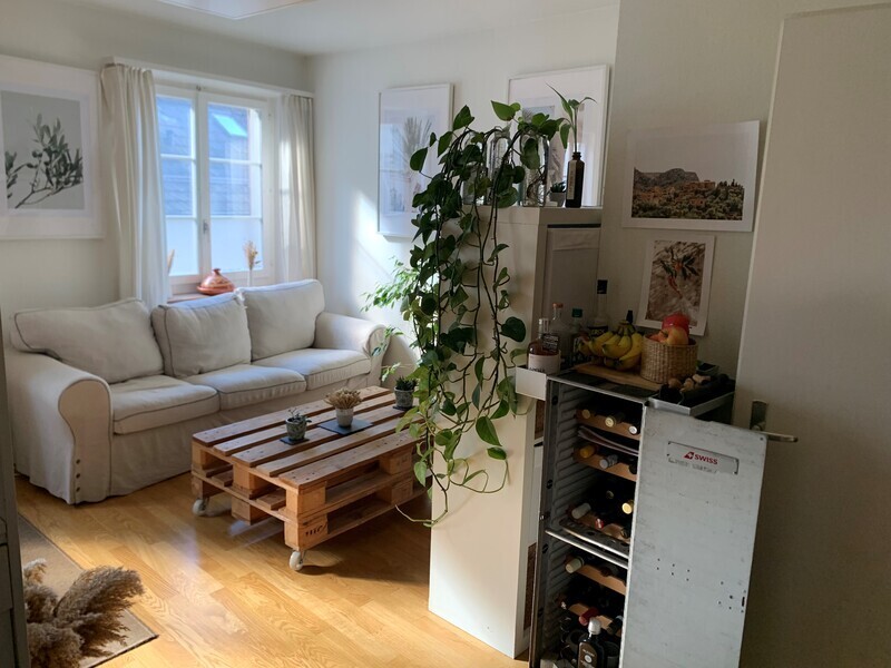 2 ½ rooms apartment