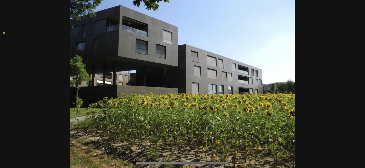 Appartamento di 2 ½ locali
