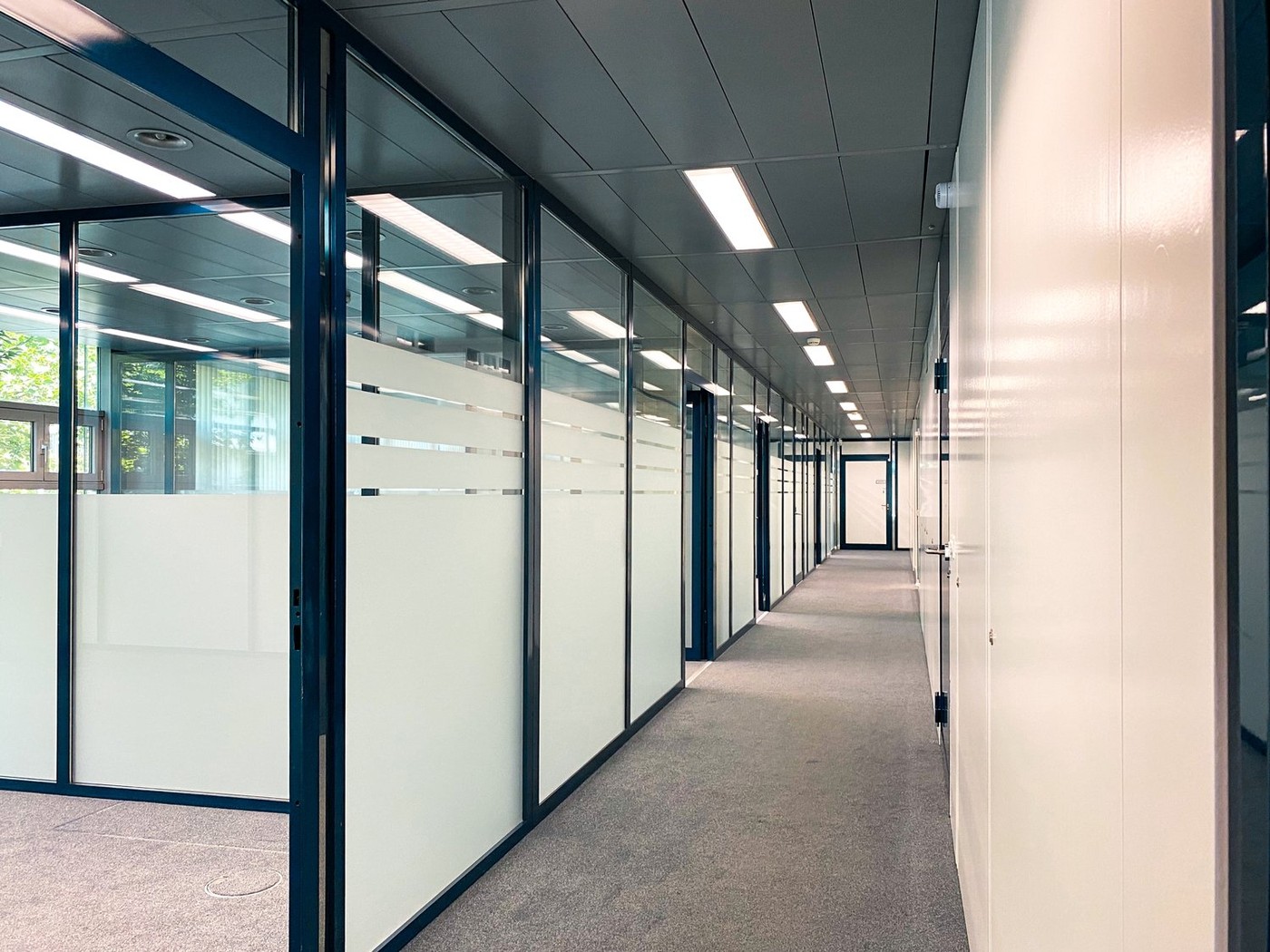 263m² office