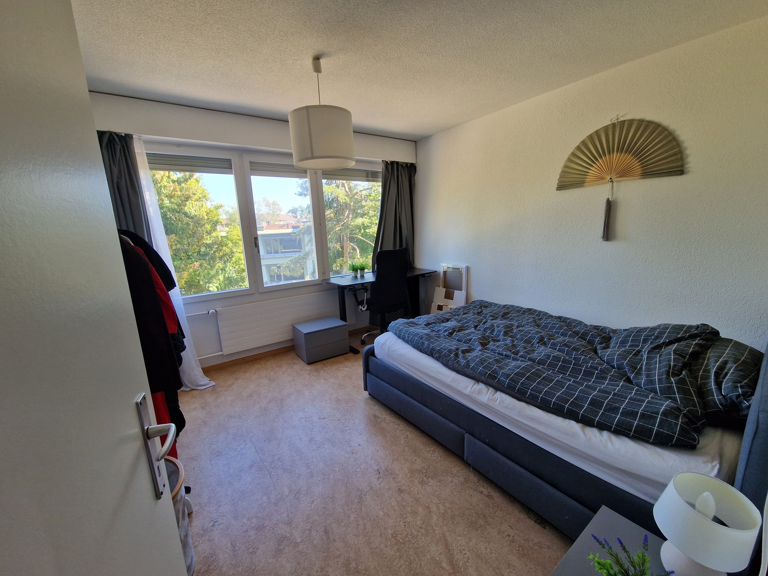 Room in a shared flat