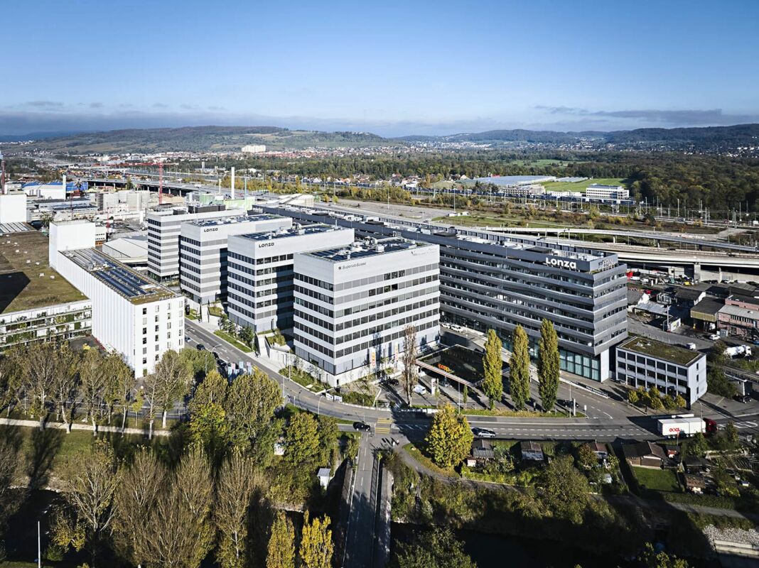 413m² office