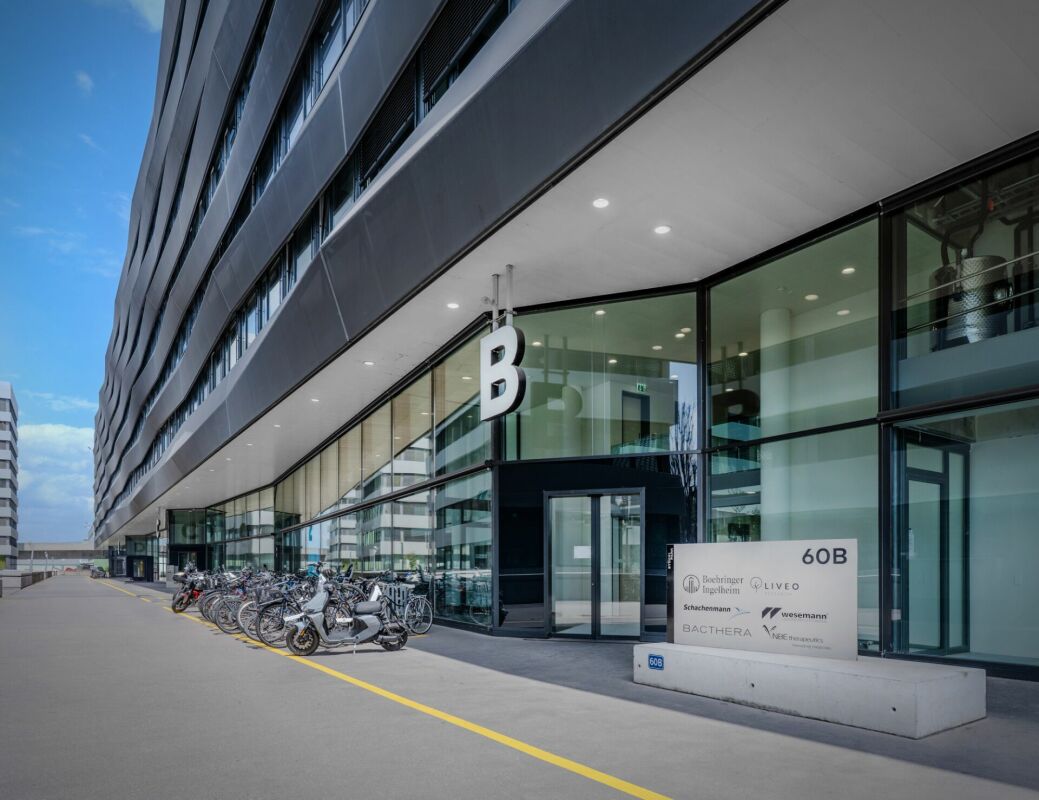 413m² office