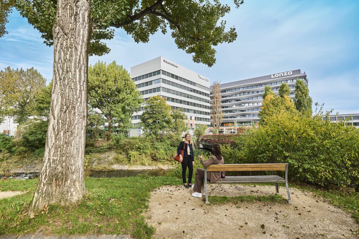 413m² office