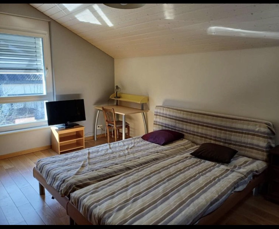 Room in a shared flat