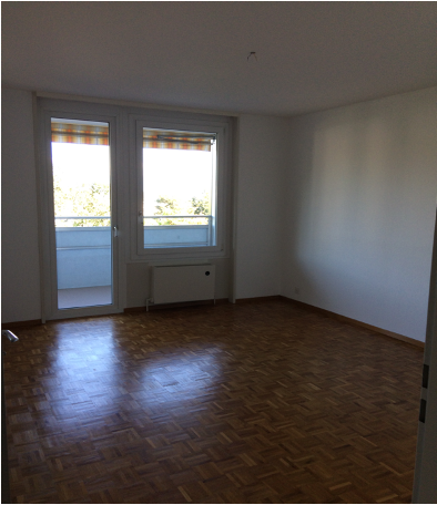 3 ½ Zimmer Wohnung