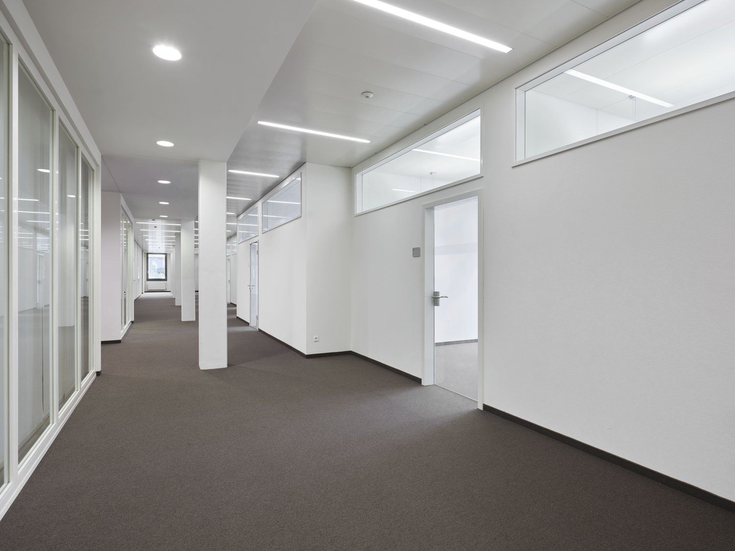 650m² office