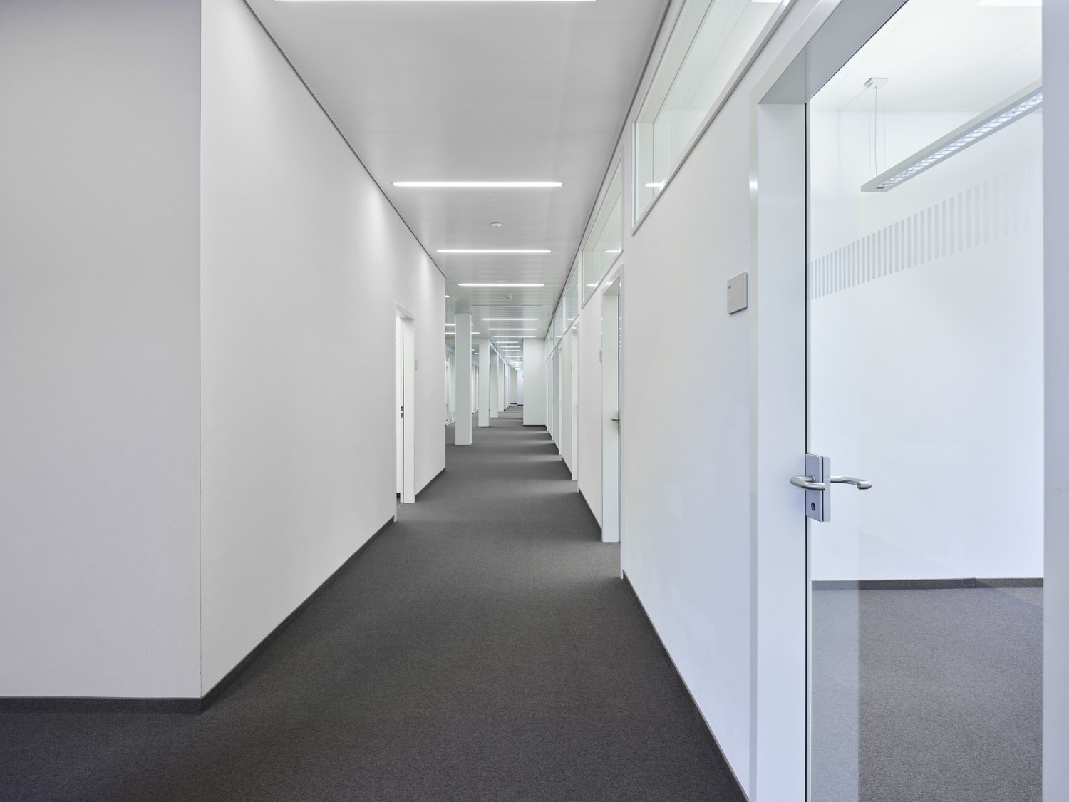 650m² office